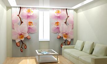 картинка Фотошторы Строгие орхидеи от магазина Рим-Декор