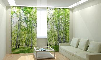 картинка Фотошторы Березовый лес 2 от магазина Рим-Декор
