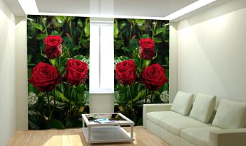 картинка Фотошторы Красные кусты роз от магазина Рим-Декор