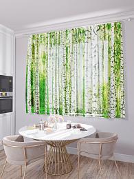картинка Кухонный фототюль Березовый лес от магазина Рим-Декор