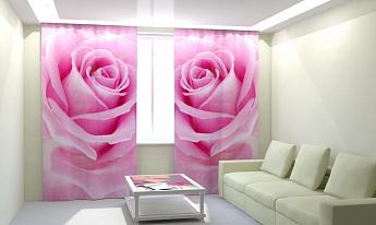 картинка Фотошторы Роза от магазина Рим-Декор