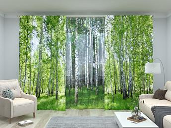 картинка Комплект Березовый лес 2 + Березовая роща от магазина Рим-Декор