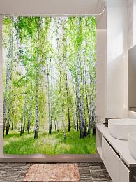 картинка Фотоштора для ванной Березовый лес 2 от магазина Рим-Декор