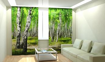 картинка Фотошторы Утренний березовый лес от магазина Рим-Декор