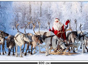 картинка Занавес Дед мороз и упряжка от магазина Рим-Декор