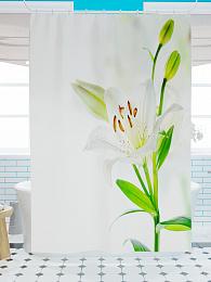 картинка Фотоштора для ванной Красивые белые лилии от магазина Рим-Декор